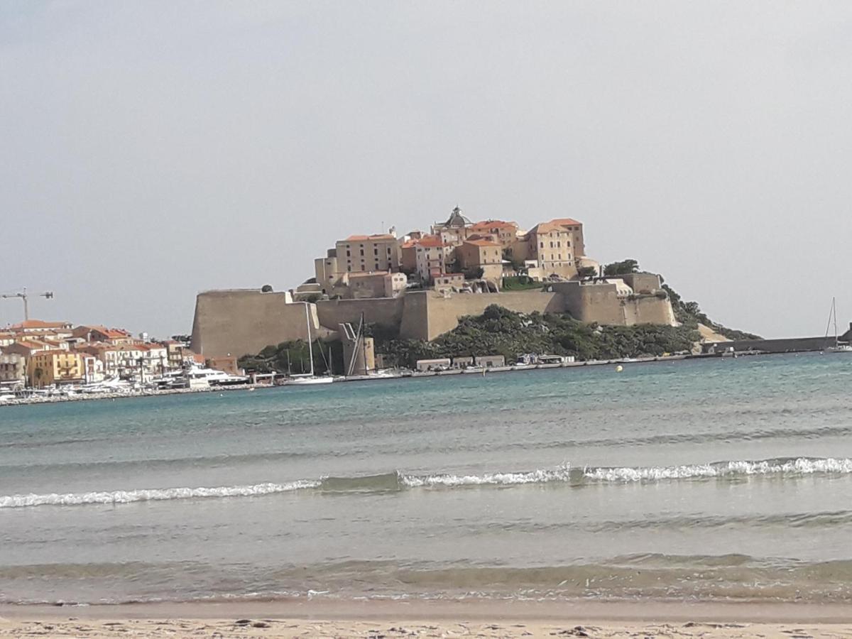 T2 Vue Mer Acces Plage Calvi  Ngoại thất bức ảnh